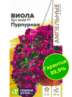 Виола Кул Вейв Пурпурная ампельная [Семена алтая]