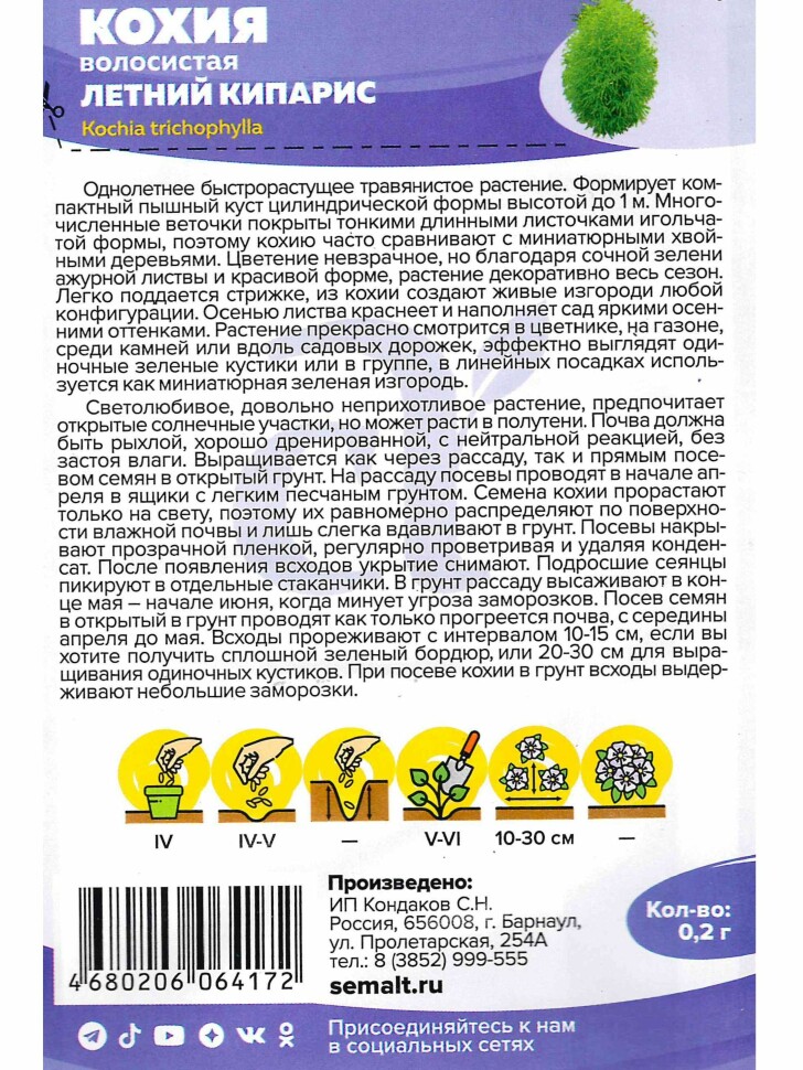 Кохия Летний Кипарис [Семена алтая] купить с доставкой