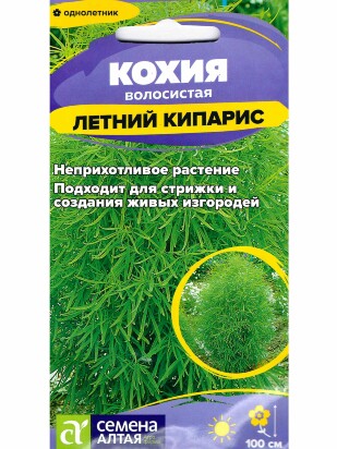Кохия Летний Кипарис [Семена алтая]