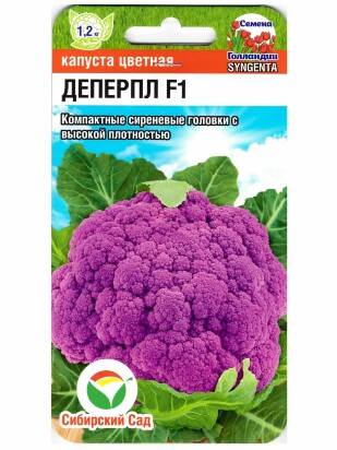 Капуста цветная Деперпл [Сибирский сад]