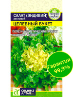 Салат Эндивий Целебный Букет [Семена алтая]