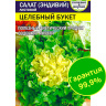 Салат Эндивий Целебный Букет [Семена алтая]