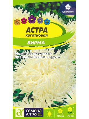 Астра Бирма коготковая [Семена алтая]
