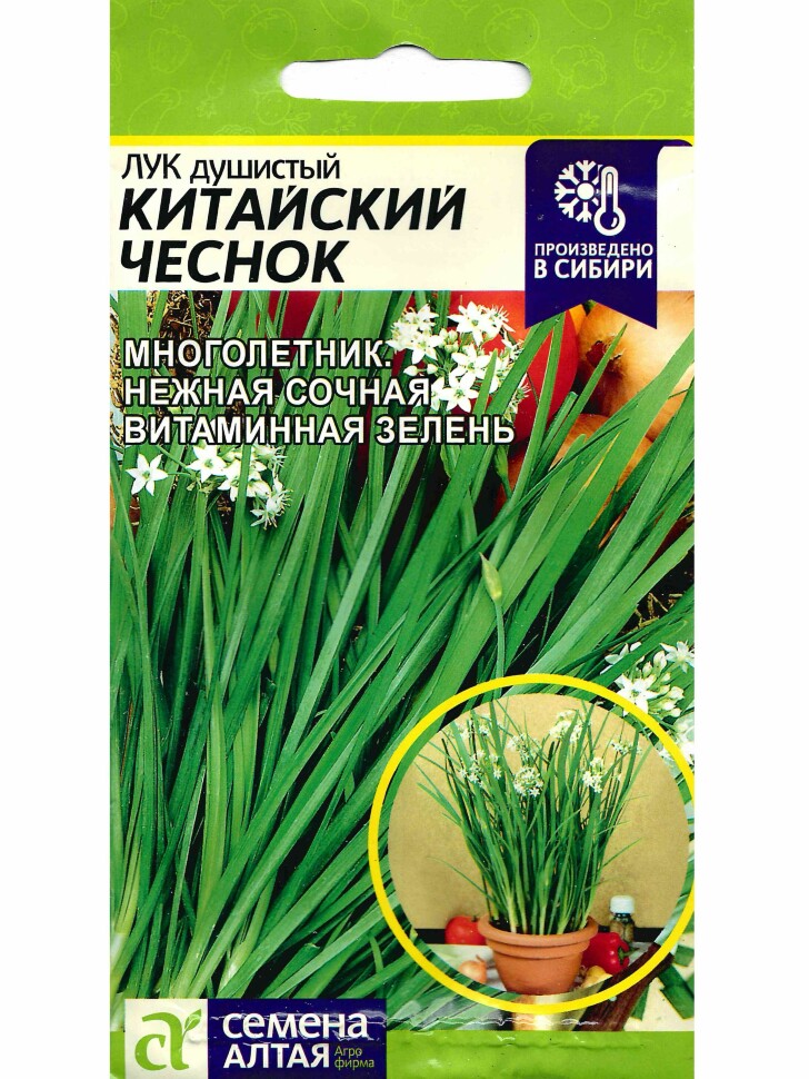 Лук Душистый Китайский Чеснок [Семена алтая] купить с доставкой