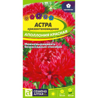 Астра Аполлония Красная [Семена алтая]
