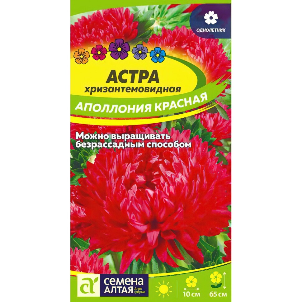 Астра Аполлония Красная [Семена алтая] купить с доставкой