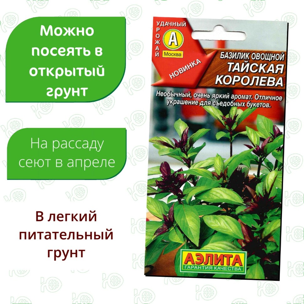 Базилик овощной Тайская королева [Аэлита] купить с доставкой