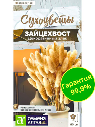 Зайцехвост злак декоративный [Семена Алтая]
