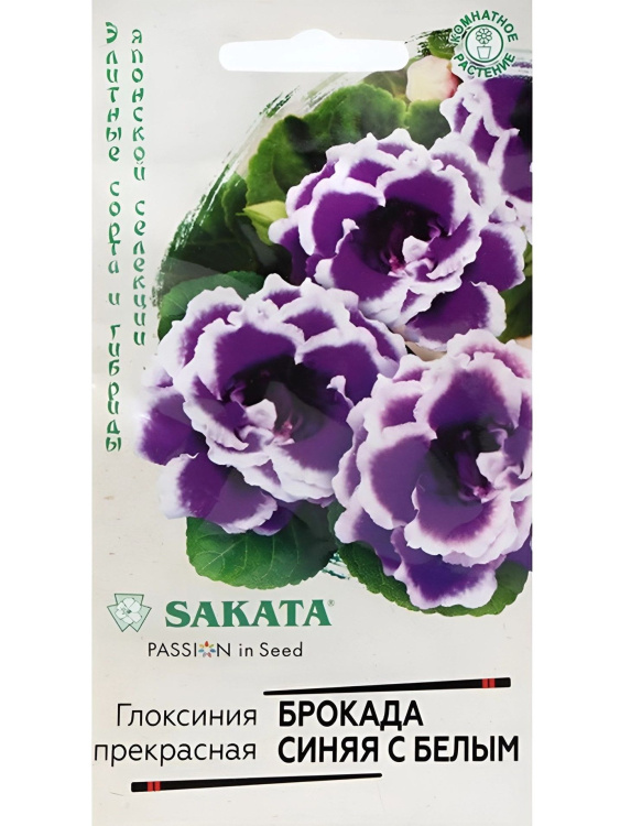 Глоксиния Брокада Синяя с Белым [Гавриш] купить с доставкой