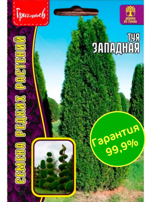 Туя Западная [Семена редких растений]