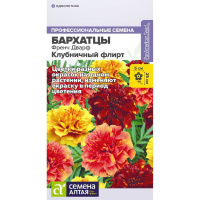 Бархатцы Френч Дварф Клубничный флирт [Семена алтая]