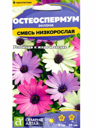 Остеоспермум Смесь низкорослая [Семена алтая]