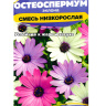 Остеоспермум Смесь низкорослая [Семена алтая]