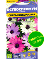 Остеоспермум Смесь низкорослая [Семена алтая]