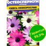 Остеоспермум Смесь низкорослая [Семена алтая]