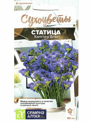 Статица Хипстер Блю [Семена алтая]