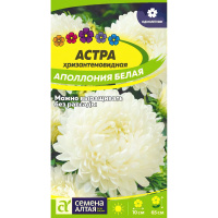 Астра Аполлония Белая [Семена алтая]