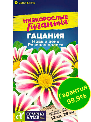 Гацания Новый день Розовая полоса [Семена алтая]