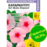 Катарантус Хит Вейв Эприкот [Семена алтая]