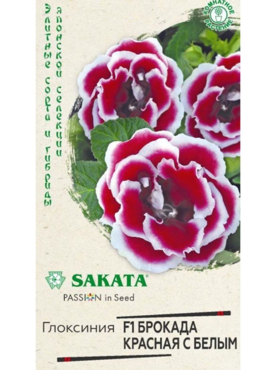 Глоксиния Брокада Красная с Белым [Гавриш] купить с доставкой