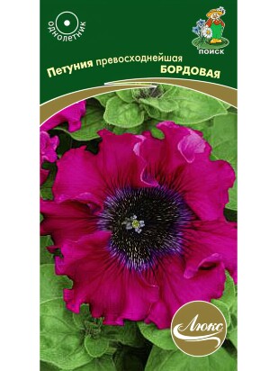 Петуния превосходнейшая Бордовая [Поиск]