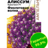 Алиссум Кристалл Фиолетовая Волна ампельный [Семена алтая]