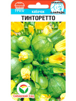 Кабачок Тинторетто [Сиб Сад]