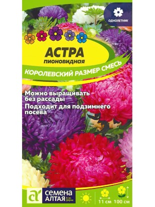 Астра Королевский размер Смесь [Семена алтая]