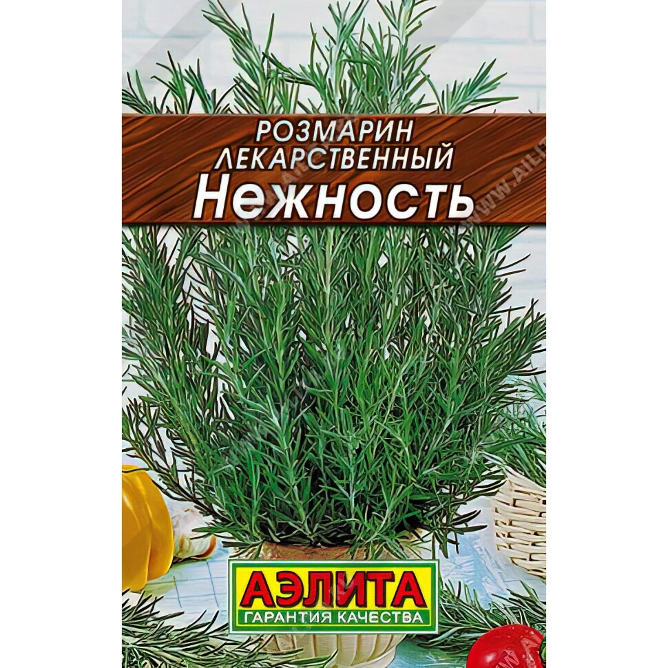Розмарин Нежность [Аэлита] купить с доставкой