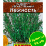 Розмарин Нежность [Аэлита] купить с доставкой
