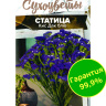 Статица Кис Дак блю [Семена алтая] купить с доставкой