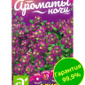 Алиссум Фиолетовая Королева [Семена алтая]