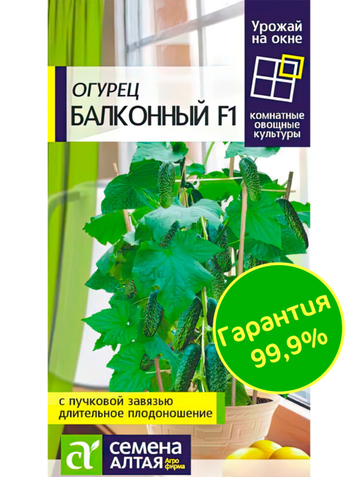 Огурец Балконный [Семена алтая] купить с доставкой