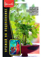 Базилик Туласи священный [Семена редких растений]