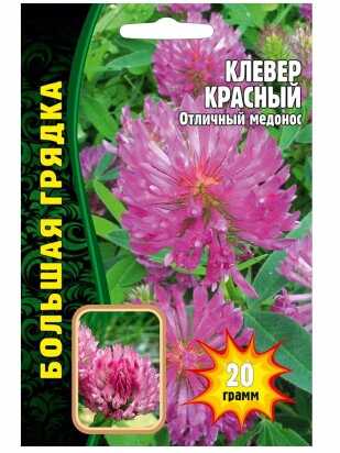 Клевер Красный [Семена редких растений]