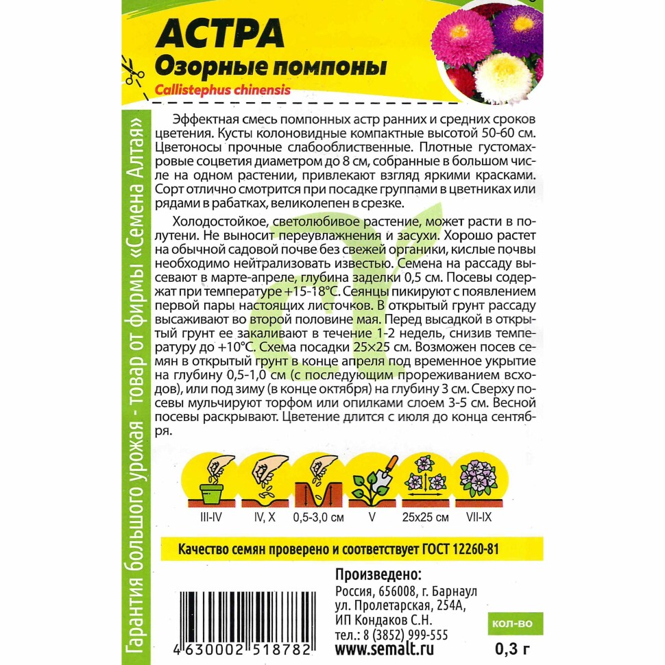 Астра Озорные Помпоны [Семена алтая] купить с доставкой