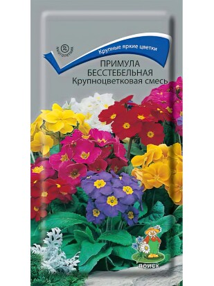 Примула бесстебельная Крупноцветковая смесь [Поиск]