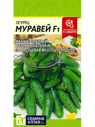 Огурец Муравей [Семена алтая]