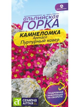 Камнеломка Пурпурный ковер Арендса [Семена алтая]