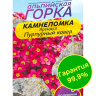 Камнеломка Пурпурный ковер Арендса [Семена алтая] купить с доставкой