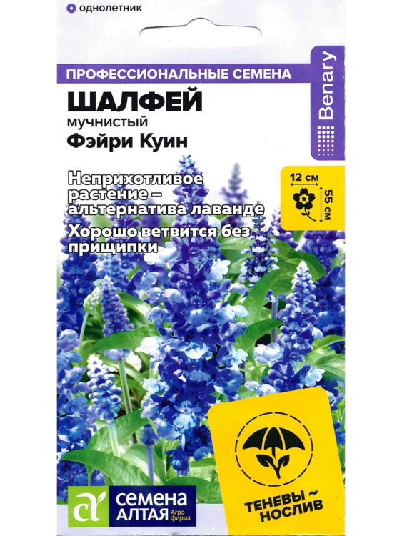 Шалфей Фэйри Куин мучнистый [Семена алтая] купить с доставкой