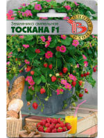Земляника Тоскана [Биотехника]