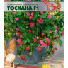 Земляника Тоскана [Биотехника] купить с доставкой