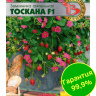 Земляника Тоскана [Биотехника] купить с доставкой