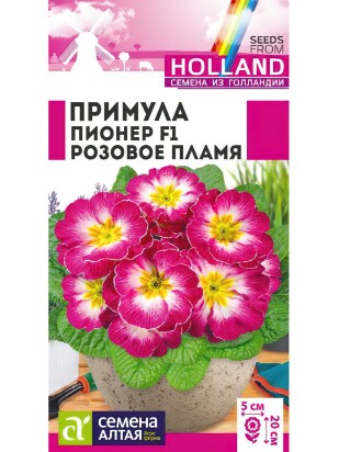 Примула Пионер Розовое пламя [Семена алтая]
