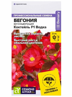 Бегония Коктейль Водка вечноцветущая [Семена алтая]