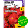 Бегония Коктейль Водка вечноцветущая [Семена алтая]