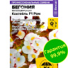 Бегония Коктейль Ром вечноцветущая [Семена алтая]