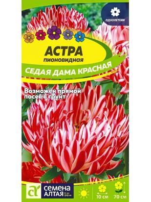 Астра Седая Дама Красная [Семена алтая]