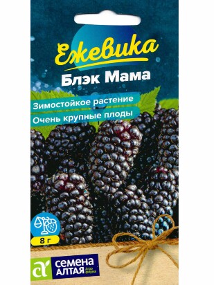 Ежевика Блэк Мама крупноплодная [Семена алтая]